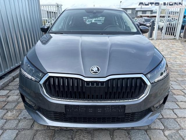 Skoda / Fabia / Grau / / / , Beispielbilder, ggf. teilweise mit Sonderausstattung