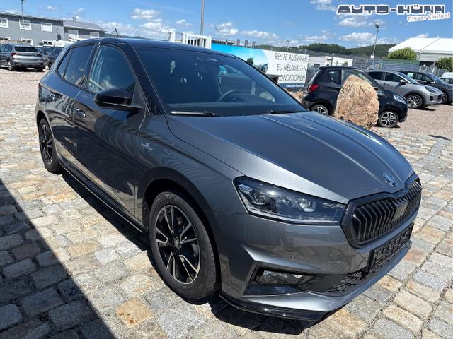 Skoda / Fabia / Grau / / / 