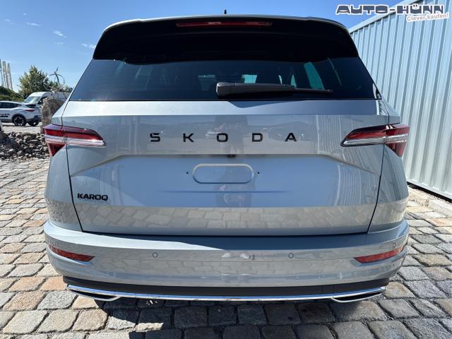 Skoda / Karoq / Grau / / / , Beispielbilder, ggf. teilweise mit Sonderausstattung