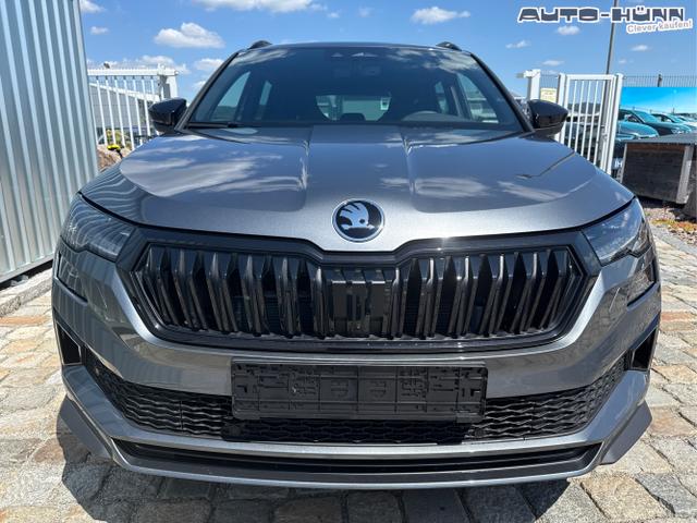 Skoda / Karoq / Grau / / / , Beispielbilder, ggf. teilweise mit Sonderausstattung