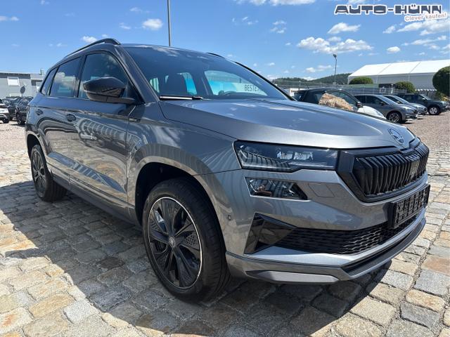 Skoda / Karoq / Grau / / / , Beispielbilder, ggf. teilweise mit Sonderausstattung