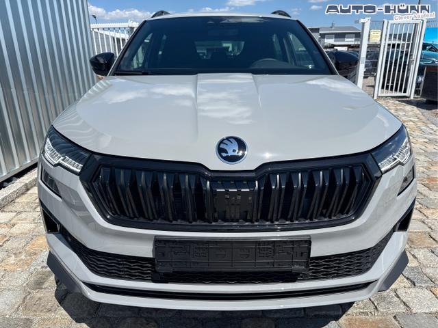 Skoda / Karoq / Grau / / / , Beispielbilder, ggf. teilweise mit Sonderausstattung