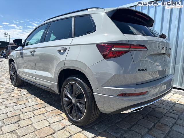 Skoda / Karoq / Grau / / / , Beispielbilder, ggf. teilweise mit Sonderausstattung