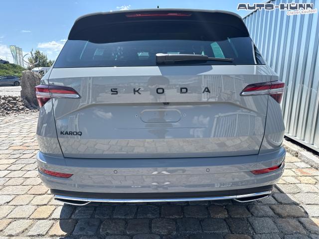 Skoda / Karoq / Grau / / / , Beispielbilder, ggf. teilweise mit Sonderausstattung