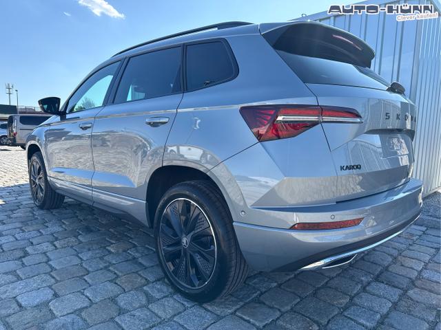 Skoda / Karoq / Grau / / / , Beispielbilder, ggf. teilweise mit Sonderausstattung