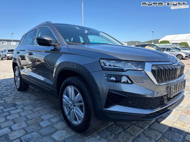 Skoda / Karoq / Grau / / / , Beispielbilder, ggf. teilweise mit Sonderausstattung