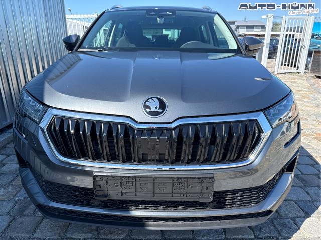Skoda / Karoq / Grau / / / , Beispielbilder, ggf. teilweise mit Sonderausstattung