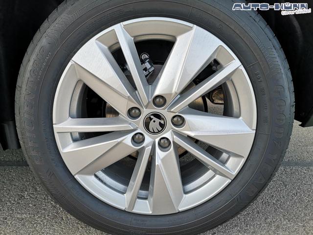 Skoda Karoq Selection 1.5 TSI DSG GV5 AHK 17 Ladeb 