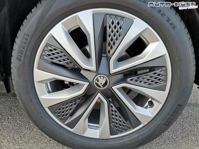 Skoda Karoq Selection 2.0 TDI DSG 4x4 GV5 AHK 18 Ladeb 