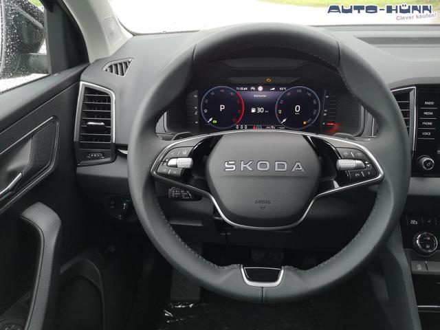 Skoda Karoq Selection 2.0 TDI DSG GV5 AHK 17 Ladeb 