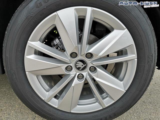 Skoda Karoq Selection 2.0 TDI DSG GV5 AHK 17 Ladeb 