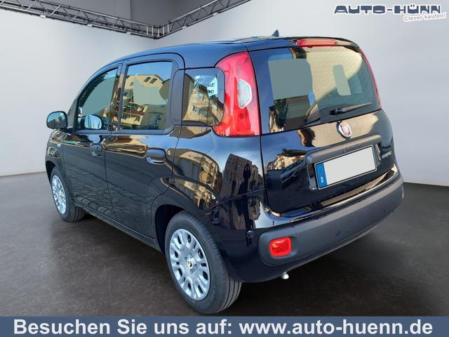 Fiat Panda - 1.0 Pandina Mild Hybrid 6-Gang Klima digital Cockpit