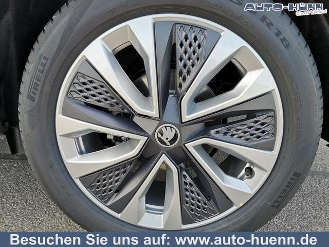 Skoda Karoq - Selection 2.0 TDI DSG 4x4 GV5 AHK 18 Ladeb