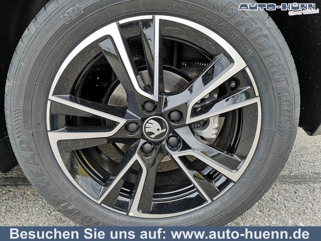 Skoda Fabia - Monte Carlo 1.5TSI DSG ACC GV5 Kam