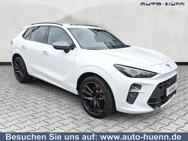 Cupra Terramar - 2.0 TSI 195 kW 4Drive VZ DSG AHK Pano Leder