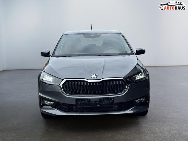 Reimport Skoda fabia automatik kaufen