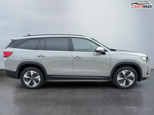 Skoda Kodiaq Grau 2.0 TSI 4x4 kaufen 