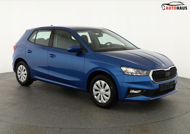 Skoda Fabia - Selection 1.0 TSI Selection, Tempomat, Ladeboden, Park, Winterpaket, SmartLink, 4-J Garantie