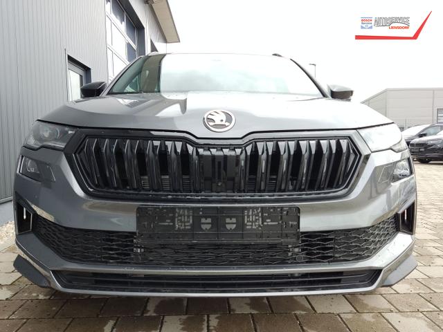 Skoda / Karoq / Grau / / / , Beispielbilder, ggf. teilweise mit Sonderausstattung