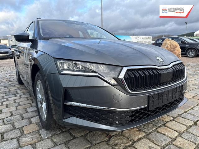 Skoda / Octavia Combi / Grau / / / , Beispielbilder, ggf. teilweise mit Sonderausstattung