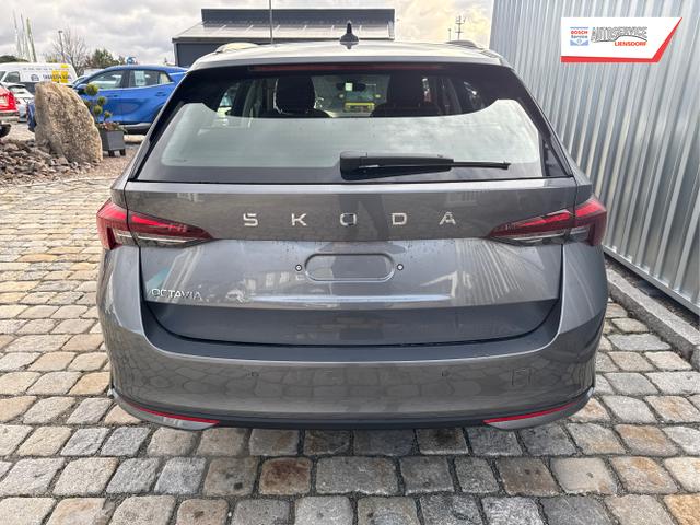 Skoda / Octavia Combi / Grau / / / , Beispielbilder, ggf. teilweise mit Sonderausstattung