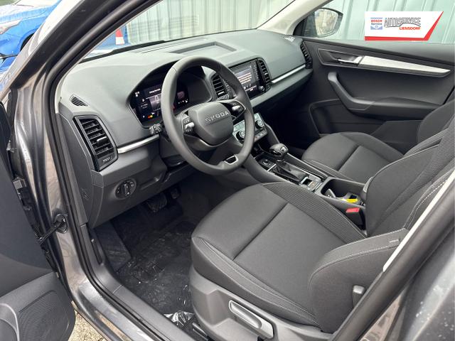 Skoda / Karoq / Grau / / / , Beispielbilder, ggf. teilweise mit Sonderausstattung