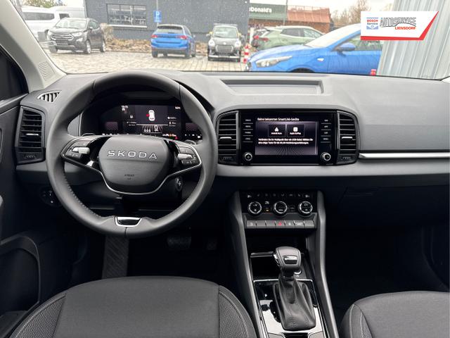 Skoda / Karoq / Grau / / / , Beispielbilder, ggf. teilweise mit Sonderausstattung
