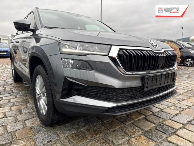 Skoda / Karoq / Grau / / / , Beispielbilder, ggf. teilweise mit Sonderausstattung