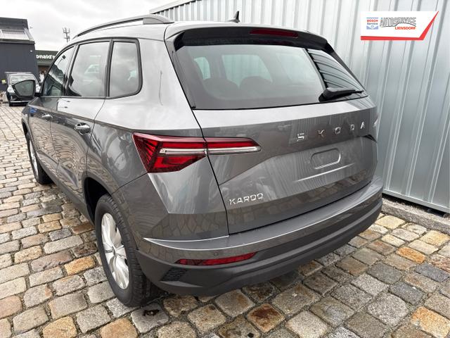 Skoda / Karoq / Grau / / / , Beispielbilder, ggf. teilweise mit Sonderausstattung