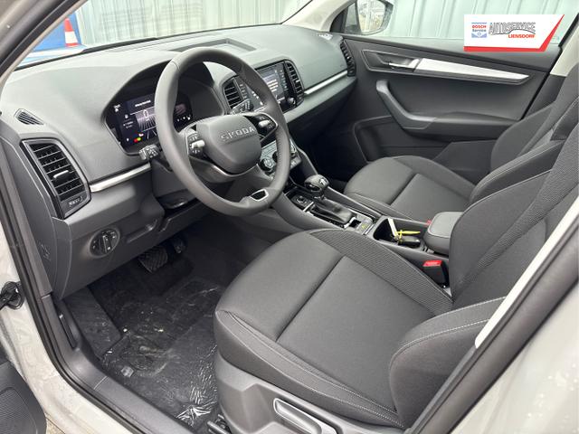 Skoda / Karoq / Grau / / / , Beispielbilder, ggf. teilweise mit Sonderausstattung