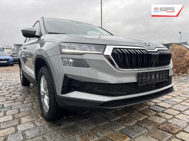 Skoda / Karoq / Grau / / / , Beispielbilder, ggf. teilweise mit Sonderausstattung