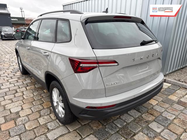 Skoda / Karoq / Grau / / / , Beispielbilder, ggf. teilweise mit Sonderausstattung