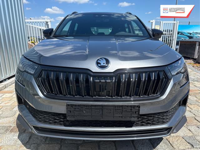 Skoda / Karoq / Grau / / / , Beispielbilder, ggf. teilweise mit Sonderausstattung