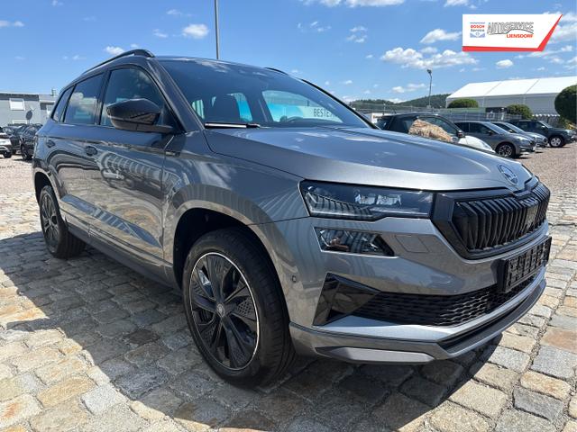 Skoda / Karoq / Grau / / / , Beispielbilder, ggf. teilweise mit Sonderausstattung