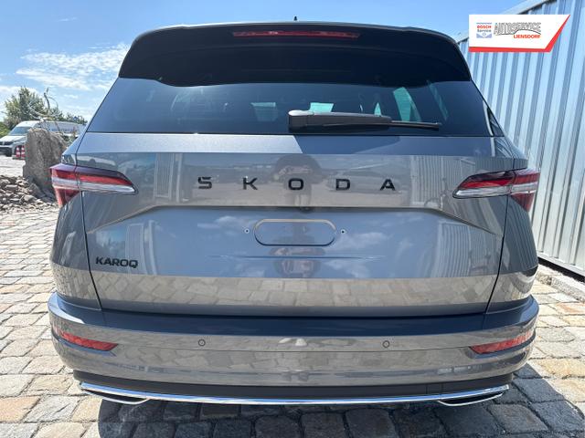 Skoda / Karoq / Grau / / / , Beispielbilder, ggf. teilweise mit Sonderausstattung