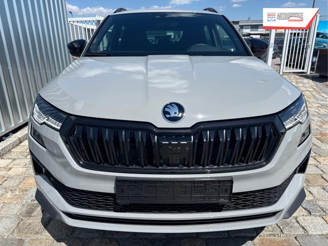 Skoda / Karoq / Grau / / / , Beispielbilder, ggf. teilweise mit Sonderausstattung