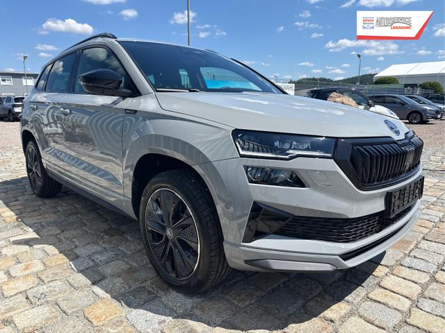 Skoda / Karoq / Grau / / / , Beispielbilder, ggf. teilweise mit Sonderausstattung