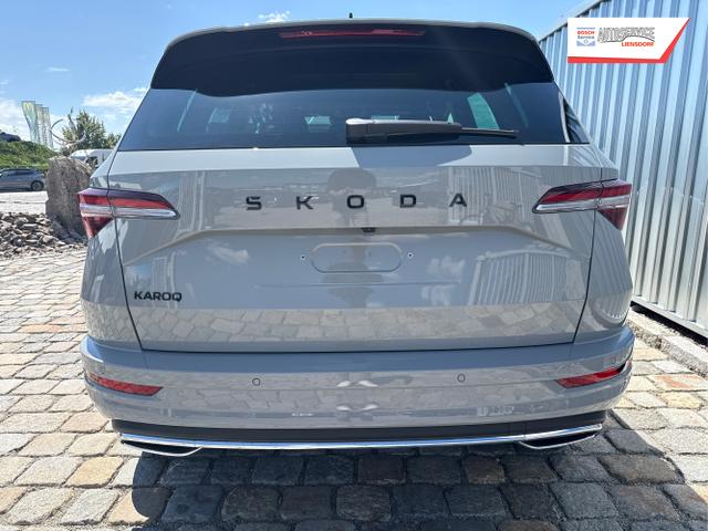Skoda / Karoq / Grau / / / , Beispielbilder, ggf. teilweise mit Sonderausstattung