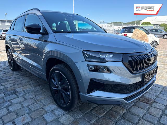 Skoda / Karoq / Grau / / / , Beispielbilder, ggf. teilweise mit Sonderausstattung