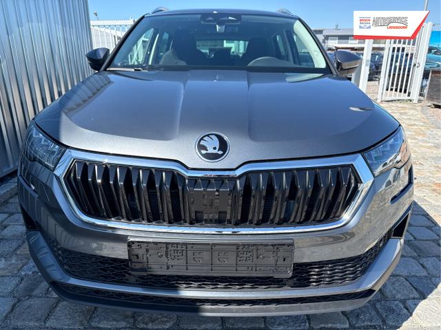 Skoda / Karoq / Grau / / / , Beispielbilder, ggf. teilweise mit Sonderausstattung