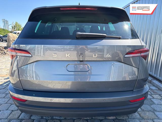 Skoda / Karoq / Grau / / / , Beispielbilder, ggf. teilweise mit Sonderausstattung