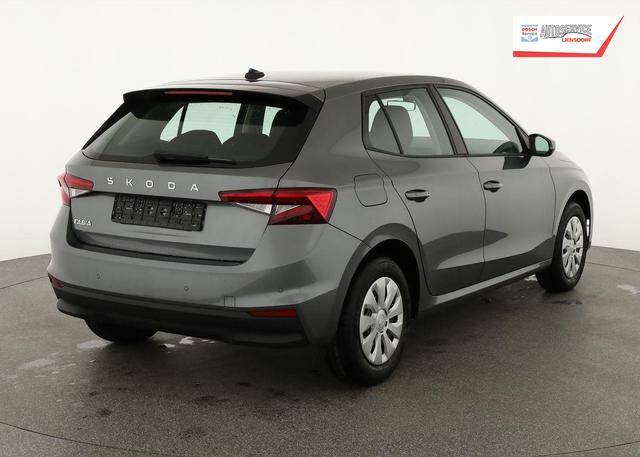 Skoda Fabia Selection 1.0 TSI Selection, Tempomat, Park, Winterpaket, SmartLink, 4-J Garantie 