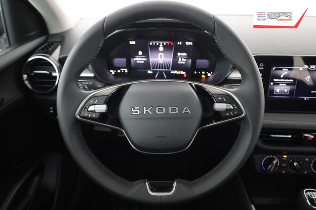 Skoda Fabia Selection 1.0 TSI Selection, Tempomat, Park, Winterpaket, SmartLink, 4-J Garantie 