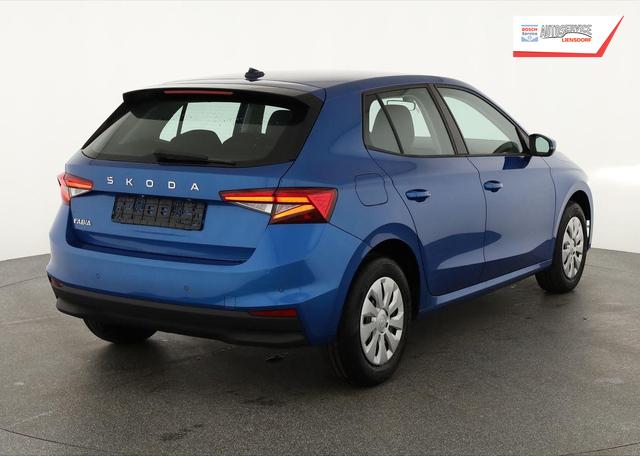 Skoda Fabia Selection 1.0 TSI Selection, Tempomat, Park, Winterpaket, SmartLink, 4-J Garantie 