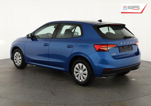 Skoda Fabia Selection 1.0 TSI Selection, Tempomat, Park, Winterpaket, SmartLink, 4-J Garantie 