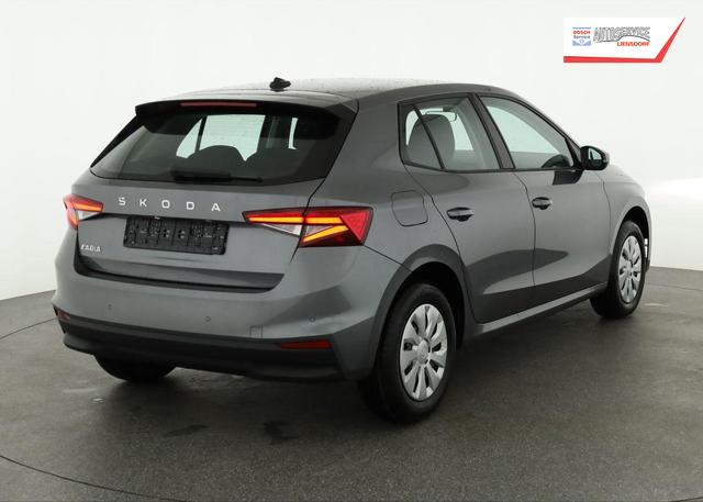 Skoda Fabia Selection 1.0 TSI Selection, Park, Winterpaket, SmartLink, 4-J Garantie 