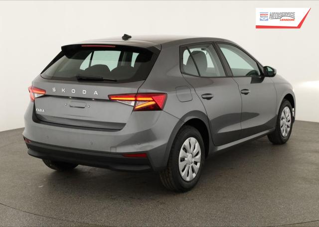 Skoda Fabia Selection 1.0 TSI Selection, Tempomat, Park, Winterpaket, SmartLink, 4 J.-Garantie 