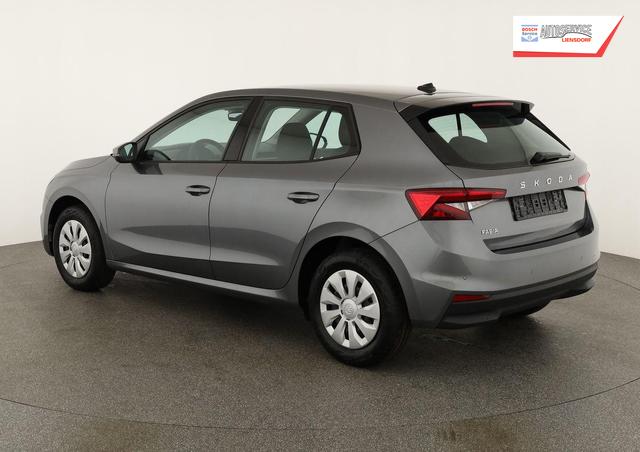 Skoda Fabia Selection 1.0 TSI Selection, Park, Winterpaket, SmartLink, 4 J.-Garantie 