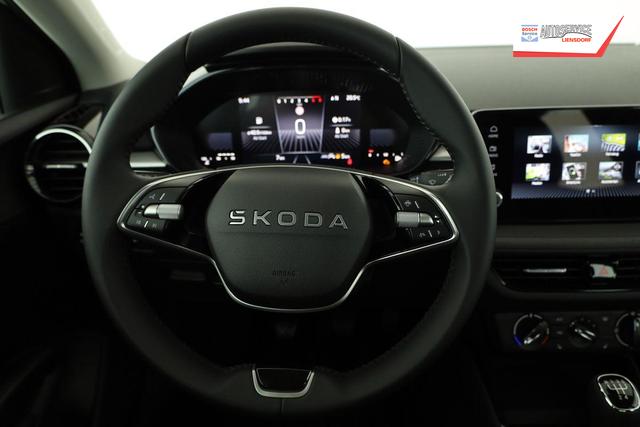 Skoda Fabia Selection 1.0 TSI Selection, Ladeboden, Park, Winterpaket, SmartLink, 4 J.-Garantie 