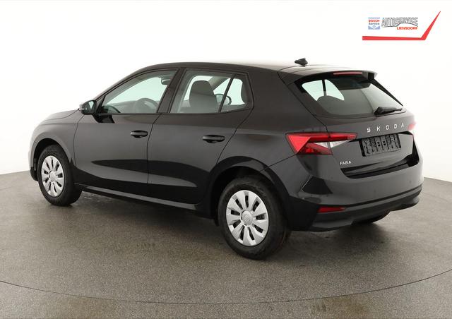 Skoda Fabia Selection 1.0 TSI Selection, Park, Winterpaket, SmartLink, 4 J.-Garantie 